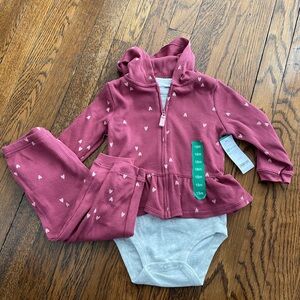 Carters Baby Girl Three Piece Set; 18 months